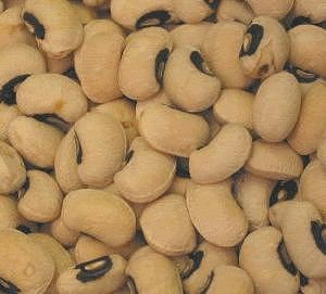 Blackeyed Peas, 25 lbs. by Bulk