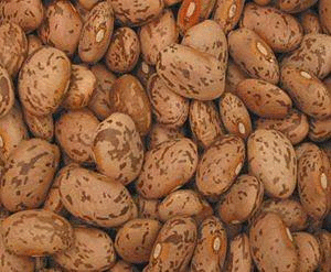 Pinto Beans, Organic, 25 lbs. by Bulk