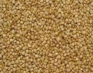 Quinoa, Organic, 5 lbs. by Azure Farm