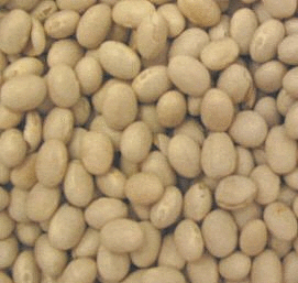 White Beans, Small, Navy, Organic, 5 lbs. by Azure Farm