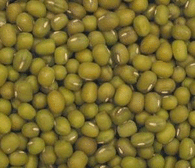 Mung Beans, Organic, 5 lbs. by Bulk