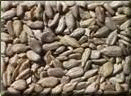 Sunflower Seeds, Raw, Organic, Impor, 5 lbs. by Bulk