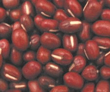 Adzuki Beans, Organic, 5 lbs. by Bulk