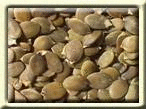 Pumpkin Seeds, Organic, 1 lb. by Bulk