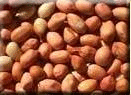 Peanuts, Raw Valencia, Organic, 5 lbs. by Natural Value