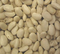 Great Northern Beans, Organic, 5 lbs. by Azure Farm