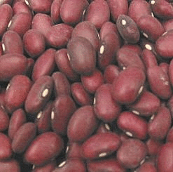 Red Beans, Small, Organic, 5 lbs. by Azure Farm