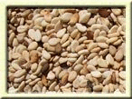 Sesame Seeds, Brown, Organic, 1 lb. by Bulk